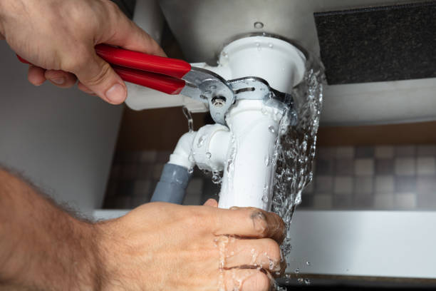 Best Mold removal after water damage  in Lmyra, PA