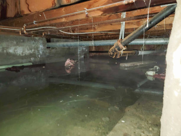 Best Residential water damage restoration  in Lmyra, PA
