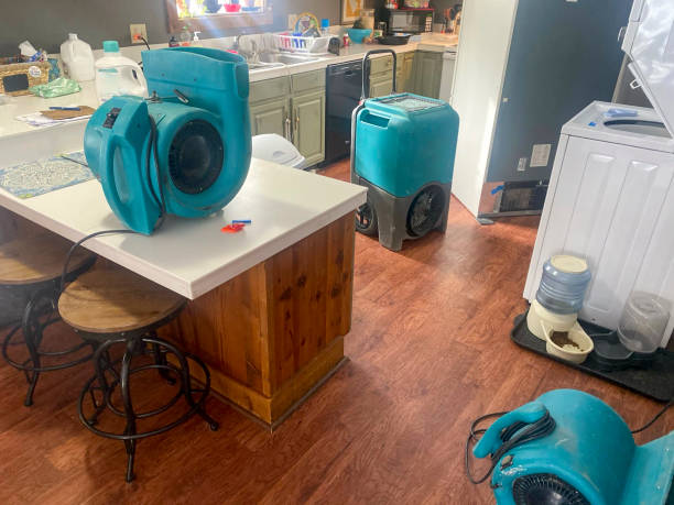Best Water damage restoration experts  in Lmyra, PA