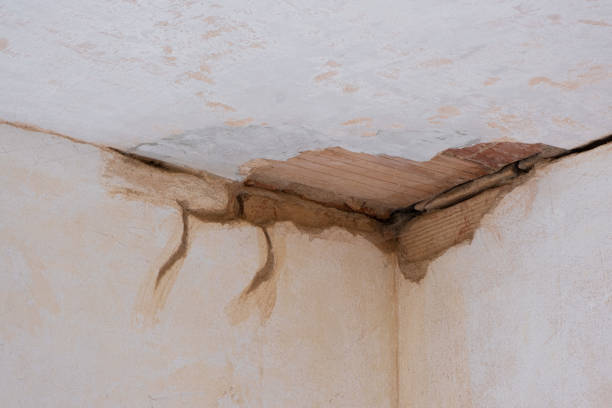 Best Emergency water damage restoration  in Lmyra, PA