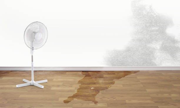 Best Ceiling water damage repair  in Lmyra, PA