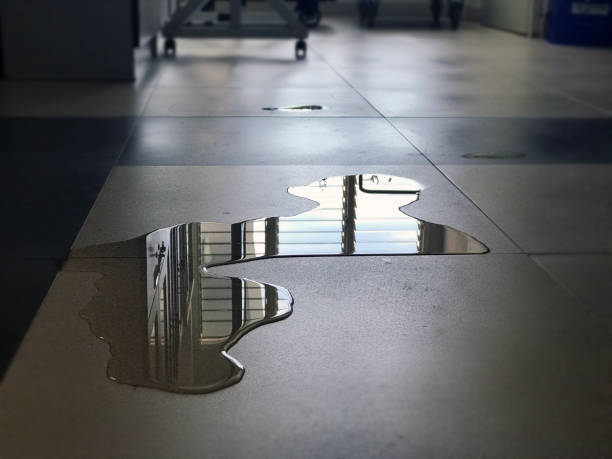 Best Commercial water damage restoration  in Lmyra, PA