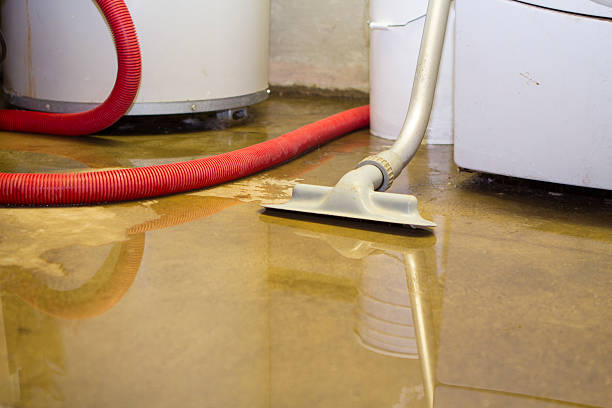 Best Local water damage restoration  in Lmyra, PA