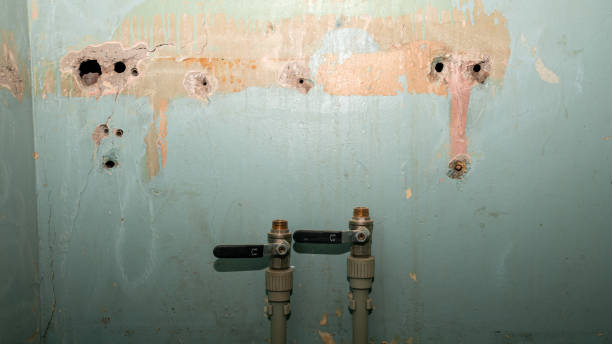 Best Ceiling water damage repair  in Lmyra, PA