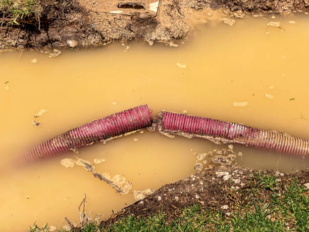 Best Water damage cleanup near me  in Lmyra, PA