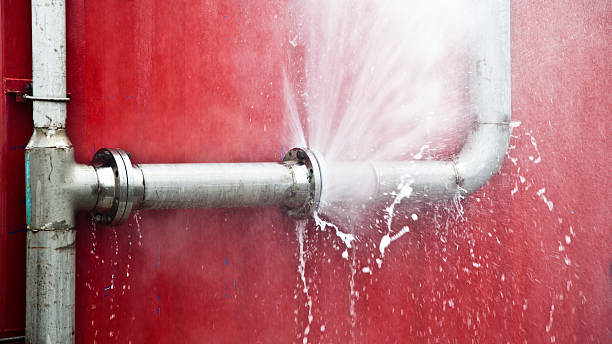Best Professional water damage repair  in Lmyra, PA