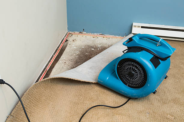 Best Flood restoration services  in Lmyra, PA